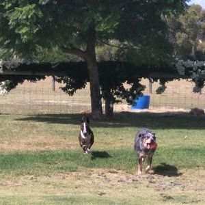 Meet your Posher, Wendy